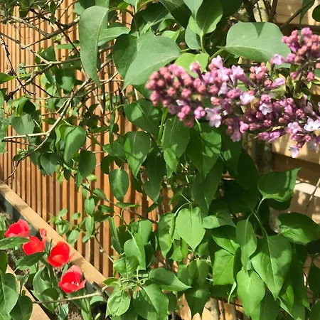 Ferienhaus Renove Avec Jardin, Proche Loisirs Et Commerces, A Heure De Nancy Et Metz - Fr-1-584-168