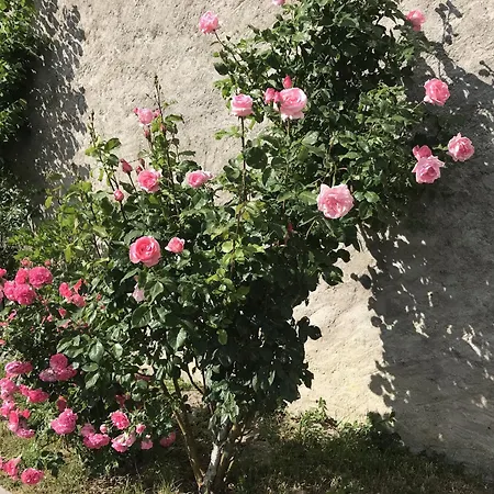 Renove Avec Jardin, Proche Loisirs Et Commerces, A Heure De Nancy Et Metz - Fr-1-584-168