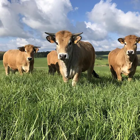 Renove Avec Jardin, Proche Loisirs Et Commerces, A Heure De Nancy Et Metz - Fr-1-584-168 *