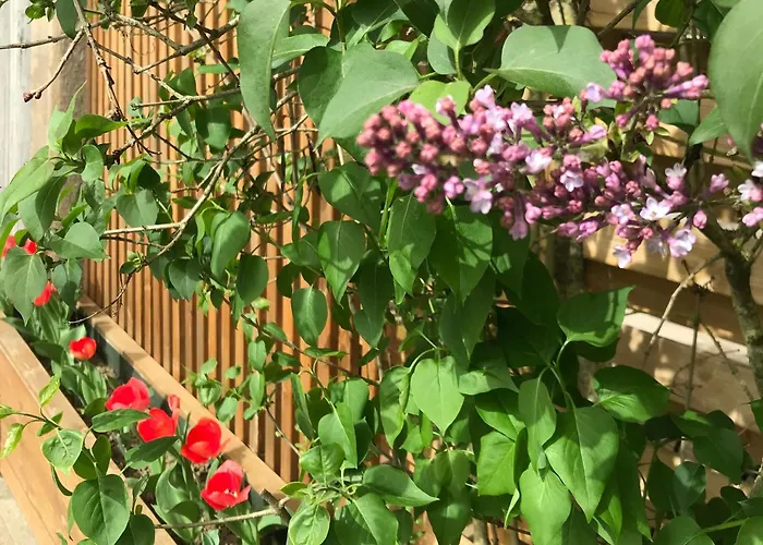 Prázdninový dům Renove Avec Jardin, Proche Loisirs Et Commerces, A Heure De Nancy Et Metz - Fr-1-584-168