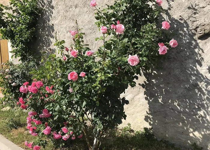 Renove Avec Jardin, Proche Loisirs Et Commerces, A Heure De Nancy Et Metz - Fr-1-584-168
